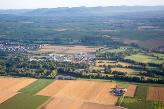 Billigheim, Industriegebiet Ost in Billigheim-Ingenheim im Bundesland Rheinland-Pfalz, Deutschland