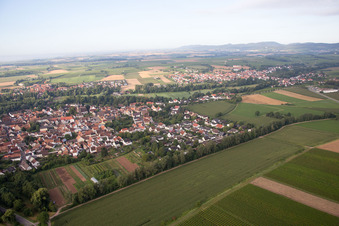 Schrägluftbild von Billigheim-Ingenheim, Maxburgstr im Bundesland Rheinland-Pfalz, Deutschland