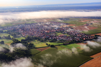 Luftaufnahme von Dorfansicht mit Morgennebel aus Südwesten in Rohrbach im Bundesland Rheinland-Pfalz, Deutschland
