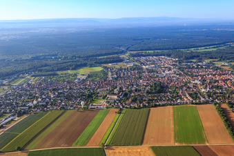 Stadtansicht aus Norden Am Wasserturm in Kandel im Bundesland Rheinland-Pfalz, Deutschland