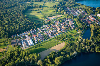 Dorfkern an den See- Uferbereichen des Rheinbaggersee im Ortsteil Grauelsbaum in Lichtenau im Bundesland Baden-Württemberg, Deutschland