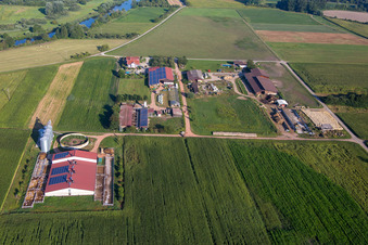 Gehöft eines Bauernhofes von Herbert Wollenbär im Ortsteil Ichenheim in Neuried im Bundesland Baden-Württemberg, Deutschland