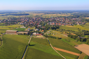 Ortsansicht aus Norden mit  terra-bausysteme GmbH in Meißenheim im Bundesland Baden-Württemberg, Deutschland