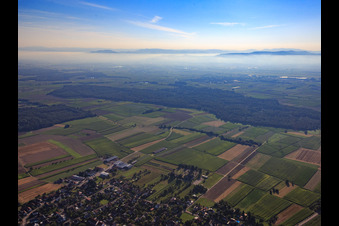 Blick über die Rheinebene aus Westen im Ortsteil Ottenheim in Schwanau im Bundesland Baden-Württemberg, Deutschland