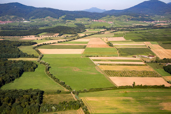 ULM platform in Epfig im Bundesland Bas-Rhin, Frankreich