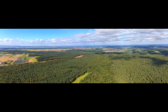 Panorama einer Otterbach-Lichtung im Bienwald Richtung Jockgrim in Kandel im Bundesland Rheinland-Pfalz, Deutschland