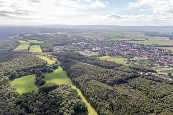 Waldgebiet Bienwald, mit Wiesenlichtungen des Otterbachtals in Kandel im Bundesland Rheinland-Pfalz, Deutschland