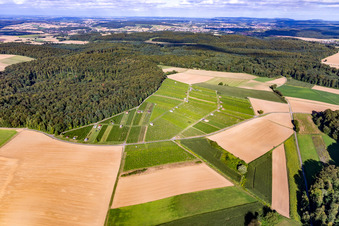 Luftbild von Hasensprung (Weinbau) im Ortsteil Jöhlingen in Walzbachtal im Bundesland Baden-Württemberg, Deutschland