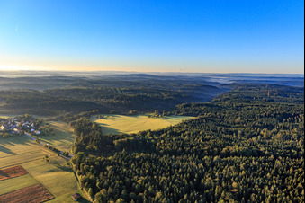 Waldlichtung im Ortsteil Winzenweiler in Gaildorf im Bundesland Baden-Württemberg, Deutschland