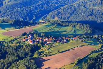 Luftbild von Dorf am Morgen aus Norden im Ortsteil Dauernberg in Spiegelberg im Bundesland Baden-Württemberg, Deutschland