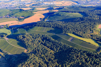 Luftbild von Weinberge und Wald im Ortsteil Schmidhausen in Beilstein im Bundesland Baden-Württemberg, Deutschland