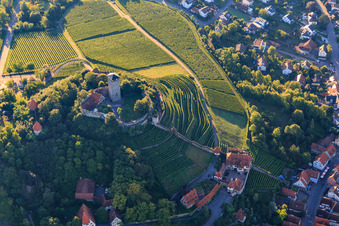 Burgfalknerei im Schloss Hohenbeilstein über Weinbergterassen und der Altstadt in Beilstein im Bundesland Baden-Württemberg, Deutschland
