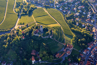 Luftbild von Burgfalknerei im Schloss Hohenbeilstein über Weinbergterassen und der Altstadt in Beilstein im Bundesland Baden-Württemberg, Deutschland