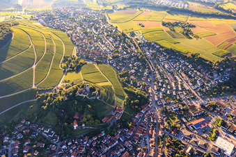 Luftaufnahme von Burgfalknerei im Schloss Hohenbeilstein über Weinbergterassen und der Altstadt in Beilstein im Bundesland Baden-Württemberg, Deutschland