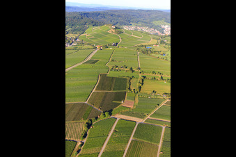 Luftbild von Weinberge in Bönnigheim im Bundesland Baden-Württemberg, Deutschland