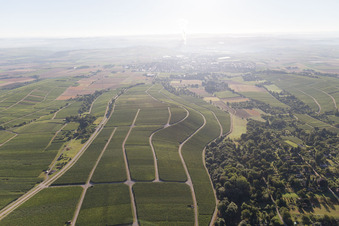 Schrägluftbild von Weinberge in Bönnigheim im Bundesland Baden-Württemberg, Deutschland