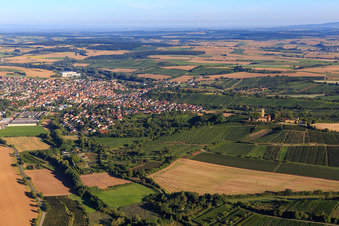 Weinberge im Kraichgau in Sulzfeld im Bundesland Baden-Württemberg, Deutschland