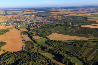 Luftbild von Weinberge im Kraichgau in Sulzfeld im Bundesland Baden-Württemberg, Deutschland