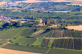 Burg Ravensburg (Sulzfeld) am Morgen auf einem Hügel mit Weinbergen im Bundesland Baden-Württemberg, Deutschland