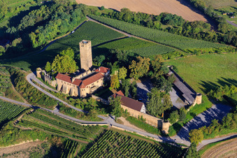 Burg Ravensburg (Sulzfeld) am Morgen auf einem Hügel mit Weinbergen im Bundesland Baden-Württemberg, Deutschland von oben