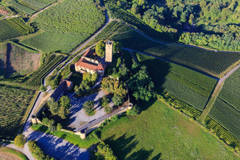 Burg Ravensburg (Sulzfeld) am Morgen auf einem Hügel mit Weinbergen im Bundesland Baden-Württemberg, Deutschland aus der Luft