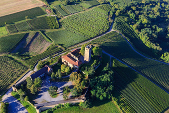 Burg Ravensburg (Sulzfeld) am Morgen auf einem Hügel mit Weinbergen im Bundesland Baden-Württemberg, Deutschland von oben gesehen