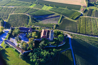 Burg Ravensburg (Sulzfeld) am Morgen auf einem Hügel mit Weinbergen im Bundesland Baden-Württemberg, Deutschland vom Flugzeug aus