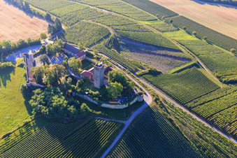 Burg Ravensburg (Sulzfeld) am Morgen auf einem Hügel mit Weinbergen im Bundesland Baden-Württemberg, Deutschland aus der Vogelperspektive