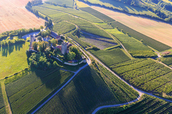 Burg Ravensburg (Sulzfeld) am Morgen auf einem Hügel mit Weinbergen im Bundesland Baden-Württemberg, Deutschland aus der Luft betrachtet