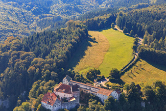 Lichtung hinter der DJH Jugendherberge Burg Wildenstein in Leibertingen im Bundesland Baden-Württemberg, Deutschland