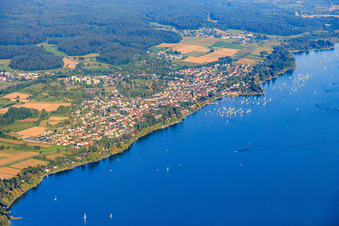 Stadtansicht am Ufer des Gnadensee aus Westen in Allensbach im Bundesland Baden-Württemberg, Deutschland
