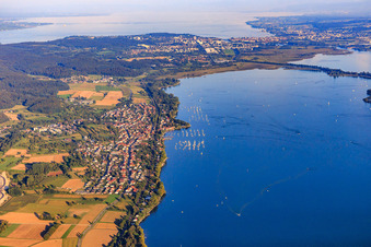 Luftbild von Stadtansicht am Ufer des Gnadensee aus Westen in Allensbach im Bundesland Baden-Württemberg, Deutschland