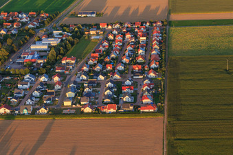 Schrägluftbild von Siedlerweg in Steinweiler im Bundesland Rheinland-Pfalz, Deutschland