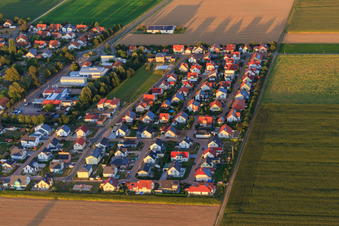 Siedlerweg in Steinweiler im Bundesland Rheinland-Pfalz, Deutschland von oben