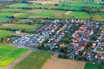 Luftbild von Gartenstraße und Holzgasse in Minfeld im Bundesland Rheinland-Pfalz, Deutschland