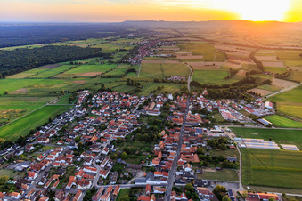 Dorfübersicht bei Sonnnenuntergang aus Osten in Minfeld im Bundesland Rheinland-Pfalz, Deutschland