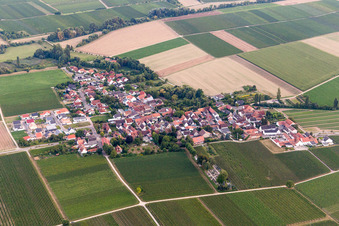 Dorf - Ansicht am Rande von landwirtschaftlichen Feldern und Nutzflächen in Kleinfischlingen im Bundesland Rheinland-Pfalz, Deutschland