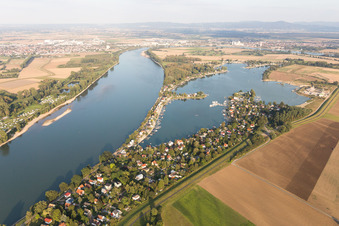 Luftaufnahme von Wochenendhausgebiet und Uferbereiche Eicher See am Rhein im Ortsteil Eicher See in Eich im Bundesland Rheinland-Pfalz, Deutschland