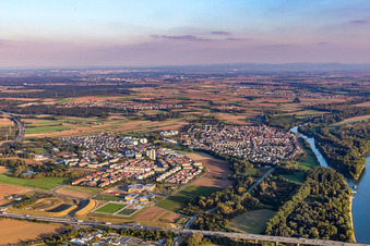 Luftbild von Ortschaft an den Fluss- Uferbereichen des Rhein im Ortsteil Gustavsburg in Ginsheim-Gustavsburg im Bundesland Hessen, Deutschland