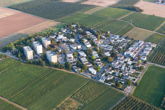 Stadtteil Goldbergstraße im Stadtgebiet in Nieder-Olm im Bundesland Rheinland-Pfalz, Deutschland