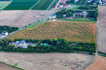 Luftbild von Irrgarten - Labyrinth mit den Umrissen einer Weintraube auf einem Feld im Ortsteil Wahlheimer Hof in Dalheim im Bundesland Rheinland-Pfalz, Deutschland
