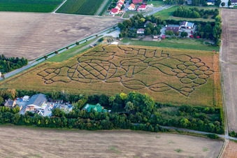 Luftbild von Dalheim, Maislabyrinth im Bundesland Rheinland-Pfalz, Deutschland