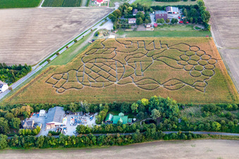 Luftaufnahme von Dalheim, Maislabyrinth im Bundesland Rheinland-Pfalz, Deutschland