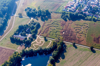 Irrgarten - Labyrinth auf einem Maisfeld in Leimersheim im Bundesland Rheinland-Pfalz, Deutschland
