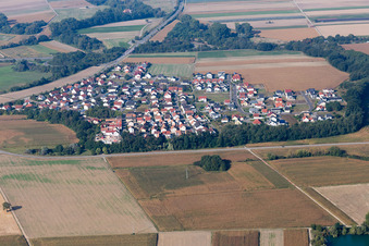 Luftbild von Neupotz, Hardtwald im Bundesland Rheinland-Pfalz, Deutschland