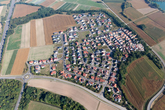 Ortsteil Hardtwald in Neupotz im Bundesland Rheinland-Pfalz, Deutschland von einer Drohne aus