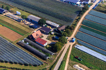 Zapf Frischgemüse Am Holderbühl in Kandel im Bundesland Rheinland-Pfalz, Deutschland