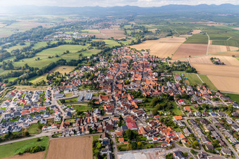 Schrägluftbild von Dorf - Ansicht am Rande von landwirtschaftlichen Feldern und Nutzflächen in Rohrbach im Bundesland Rheinland-Pfalz, Deutschland