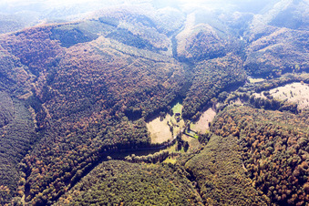 Luftbild von Niedersteinbach im Bundesland Bas-Rhin, Frankreich