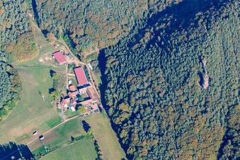 Bio-Gasthof Bärenbrunnerhof in Busenberg im Bundesland Rheinland-Pfalz, Deutschland